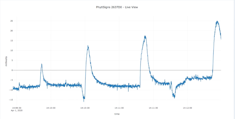 unravel the life of plants