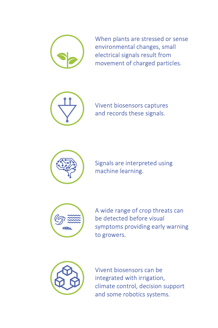 Vivent-Technology copy