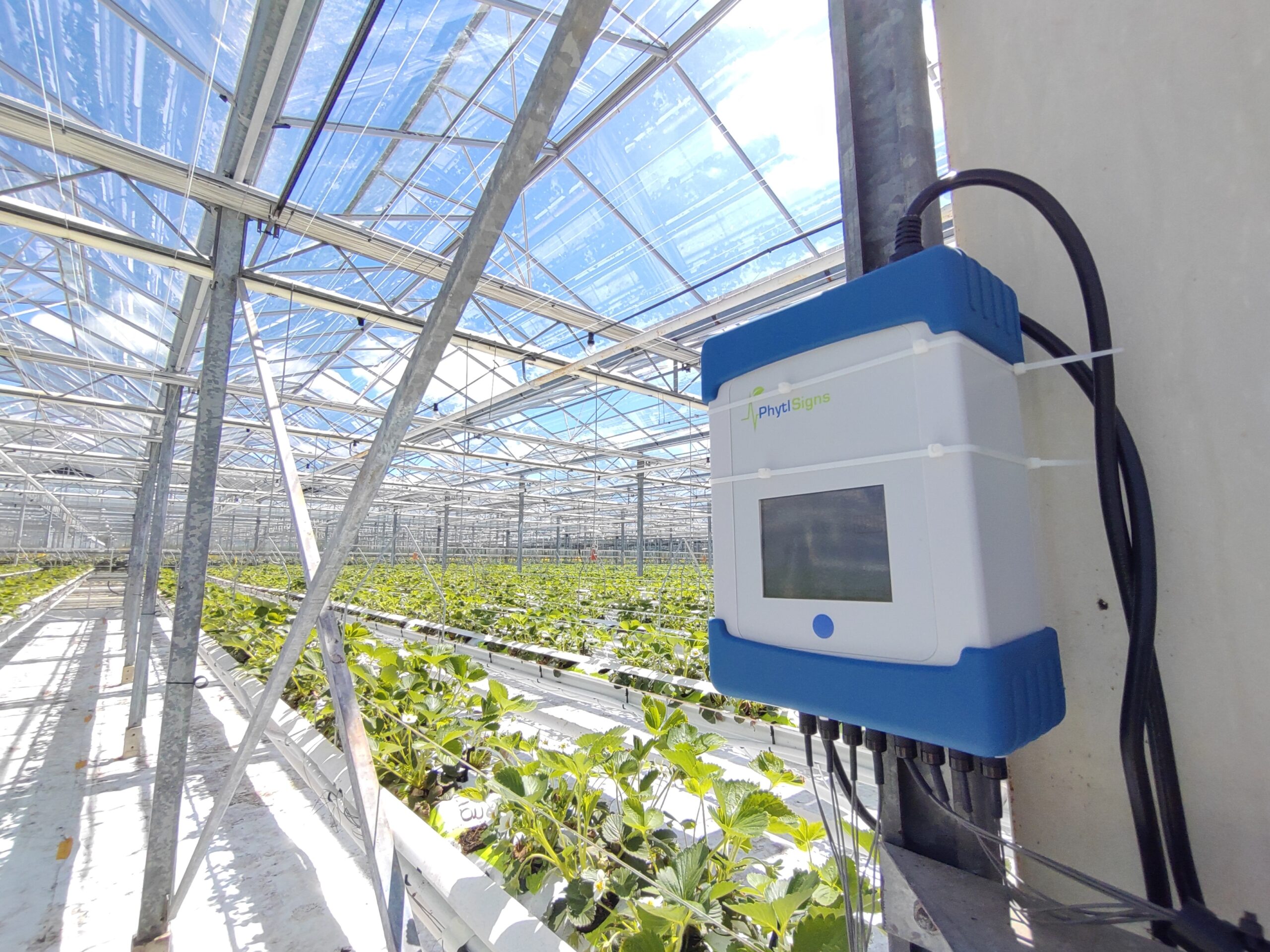 Biosensor in glasshouse 2 (3)