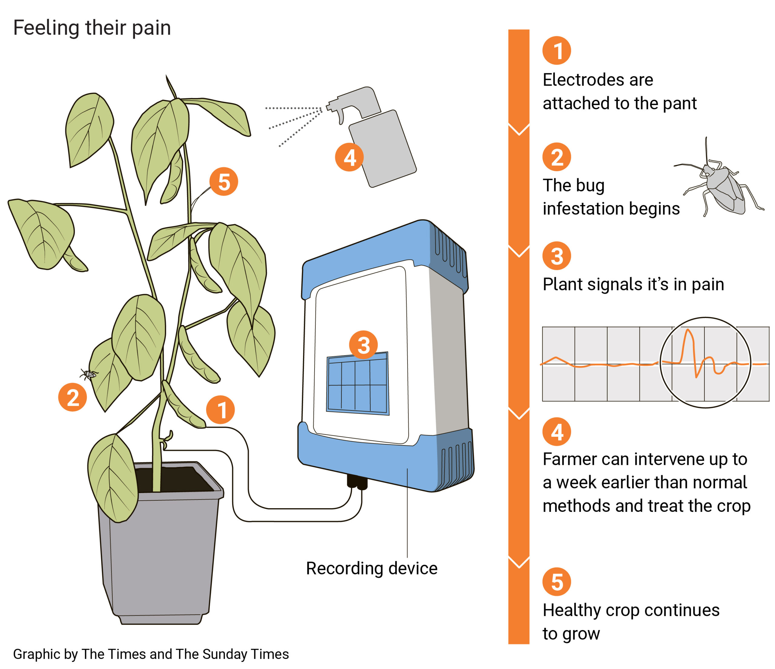 6fabecd86704cfc1508575dacc214c00 The times